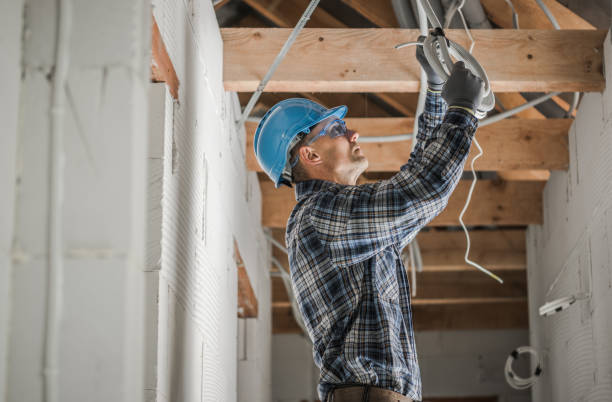 Best Electric Panel Repair  in West Monroe, MI